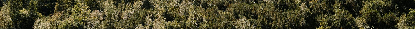 Why Floral Cycling Jerseys Are Having a Moment in 2026