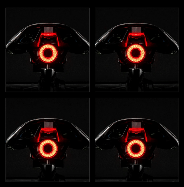 ROCKBROS Bicycle Smart Auto Brake Sensing Light IPx6 Waterproof LED Charging Cycling Taillight Bike Rear Light Accessories Q5