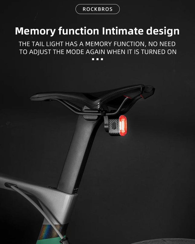 ROCKBROS Bicycle Rear Light Smart Auto Brake Sensing USB Bike Light IPX6 LED Taillight MTB Road Rechargeable Cycling Accessories