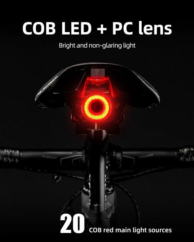 ROCKBROS Bicycle Smart Auto Brake Sensing Light IPx6 Waterproof LED Charging Cycling Taillight Bike Rear Light Accessories Q5