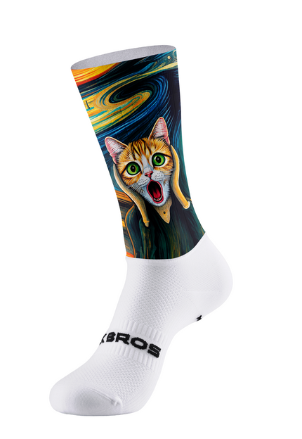 <em><strong>Art Socks</strong></em>
