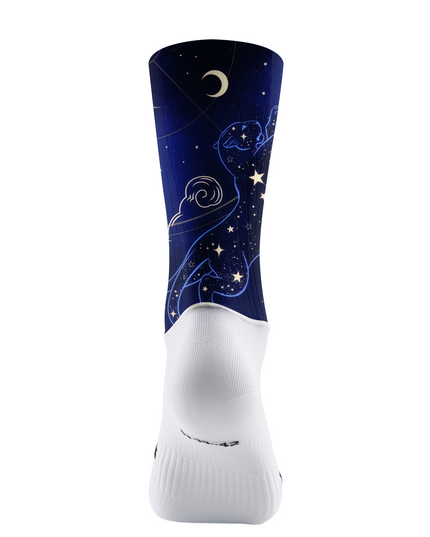 ROCKBROS Celestial Panther Mystic Cycling Socks