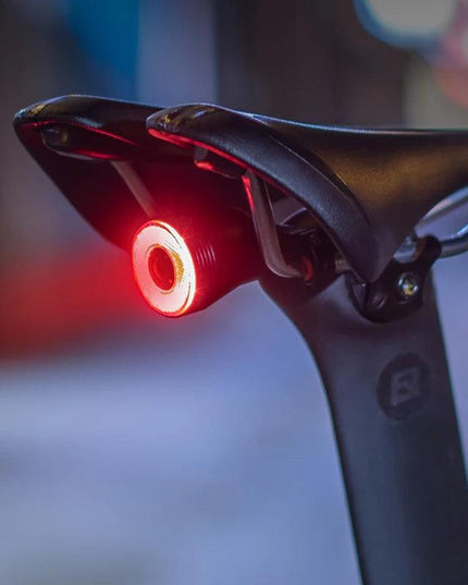 ROCKBROS Bicycle Smart Auto Brake Sensing Light IPx6 Waterproof LED Charging Cycling Taillight Bike Rear Light Accessories Q5