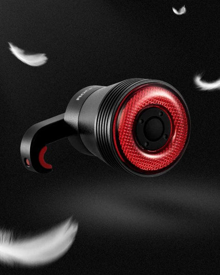ROCKBROS Bicycle Smart Auto Brake Sensing Light IPx6 Waterproof LED Charging Cycling Taillight Bike Rear Light Accessories Q5
