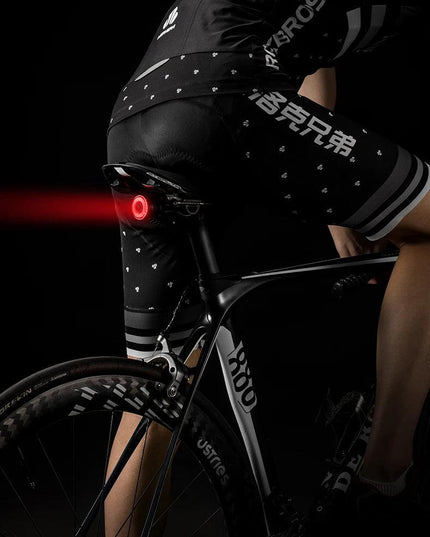 ROCKBROS Bicycle Smart Auto Brake Sensing Light IPx6 Waterproof LED Charging Cycling Taillight Bike Rear Light Accessories Q5