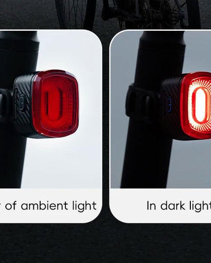 ROCKBROS Bicycle Tail Light Same Frequency Induction Brake Taillight IPX6 Waterproof Light Type-C Night Riding Warning Light