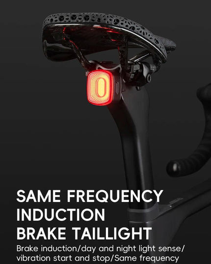 ROCKBROS Bicycle Tail Light Same Frequency Induction Brake Taillight IPX6 Waterproof Light Type-C Night Riding Warning Light