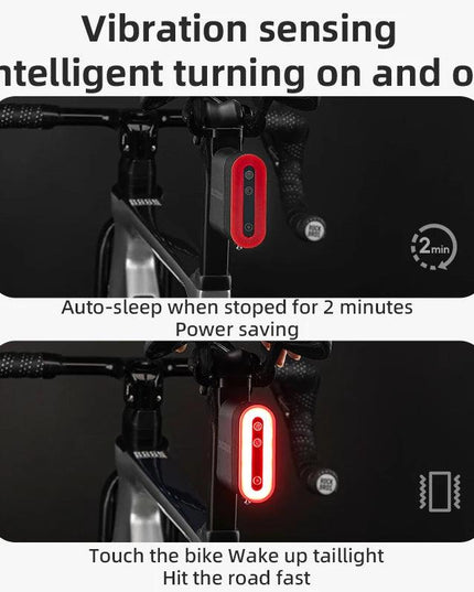 ROCKBROS Bicycle Tail Light With Lock Bluetooth Password Pairing Bike Lock Light IPX6 Waterproof Warning Light Tail  Accessories