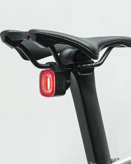 ROCKBROS Bicycle Rear Light Smart Auto Brake Sensing USB Bike Light IPX6 LED Taillight MTB Road Rechargeable Cycling Accessories