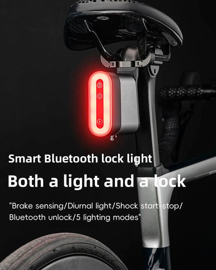 ROCKBROS Bicycle Tail Light With Lock Bluetooth Password Pairing Bike Lock Light IPX6 Waterproof Warning Light Tail  Accessories