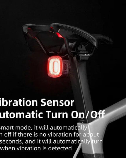 ROCKBROS Bicycle Rear Light Smart Auto Brake Sensing USB Bike Light IPX6 LED Taillight MTB Road Rechargeable Cycling Accessories