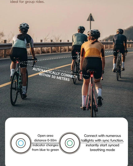 ROCKBROS BicycleTaillight Smart Brake Sensing Day/Night Sensing Waterproof Type-C Cycling Taillight Bike Accessories R Series