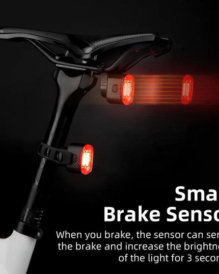 ROCKBROS Bicycle Rear Light Smart Auto Brake Sensing USB Bike Light IPX6 LED Taillight MTB Road Rechargeable Cycling Accessories