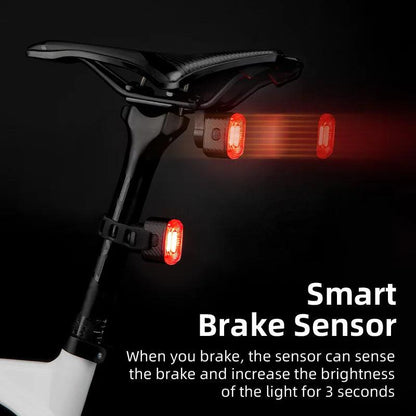 ROCKBROS Bicycle Rear Light Smart Auto Brake Sensing USB Bike Light IPX6 LED Taillight MTB Road Rechargeable Cycling Accessories