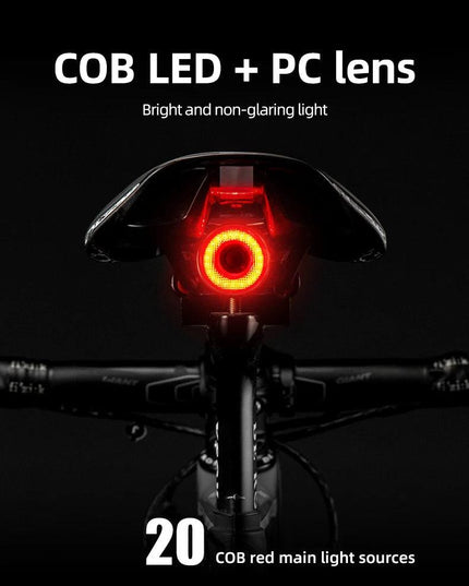 ROCKBROS Bicycle Smart Auto Brake Sensing Light IPx6 Waterproof LED Charging Cycling Taillight Bike Rear Light Accessories Q5