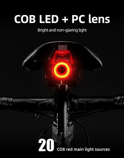 ROCKBROS Bicycle Smart Auto Brake Sensing Light IPx6 Waterproof LED Charging Cycling Taillight Bike Rear Light Accessories Q5