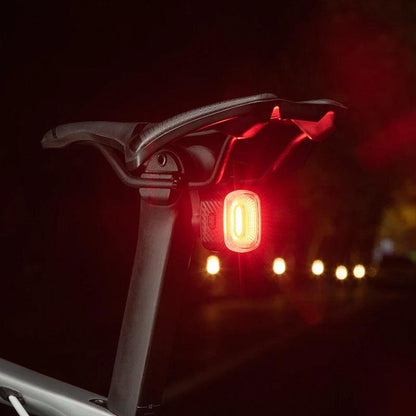 ROCKBROS Smart Bicycle Brake Light IPx6 Taillight Type-C Bike Tail Rear Light Auto Stop LED Riding Warning Safety Cycling Light