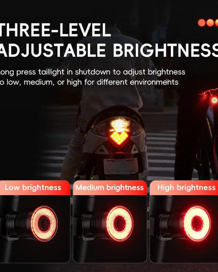 ROCKBROS BicycleTaillight Smart Brake Sensing Day/Night Sensing Waterproof Type-C Cycling Taillight Bike Accessories R Series