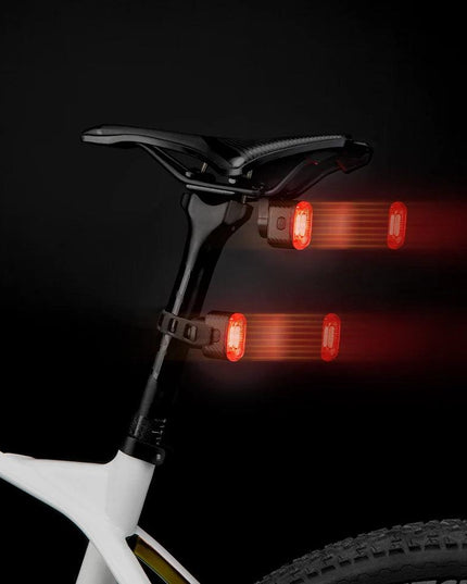 ROCKBROS Bicycle Rear Light Smart Auto Brake Sensing USB Bike Light IPX6 LED Taillight MTB Road Rechargeable Cycling Accessories