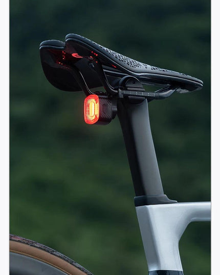 ROCKBROS Bicycle Tail Light Same Frequency Induction Brake Taillight IPX6 Waterproof Light Type-C Night Riding Warning Light