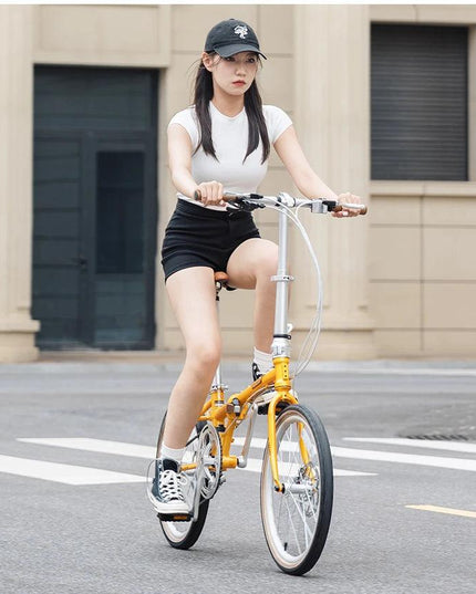 ROCKBROS Lightweight Bike Folding Design 20 inch Bike With Shimano 8-speed Wire-drawn Disc Brake System Adult Folding Bike