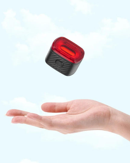 ROCKBROS Smart Bicycle Brake Light IPx6 Taillight Type-C Bike Tail Rear Light Auto Stop LED Riding Warning Safety Cycling Light