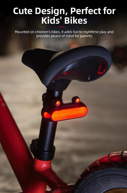 ROCKBROS Bike Rear Light IPX6 Bike Taillight LED Type-C Charging 5Modes Safety Warning Cycling Smart Taillight Rear Bicycle Lamp