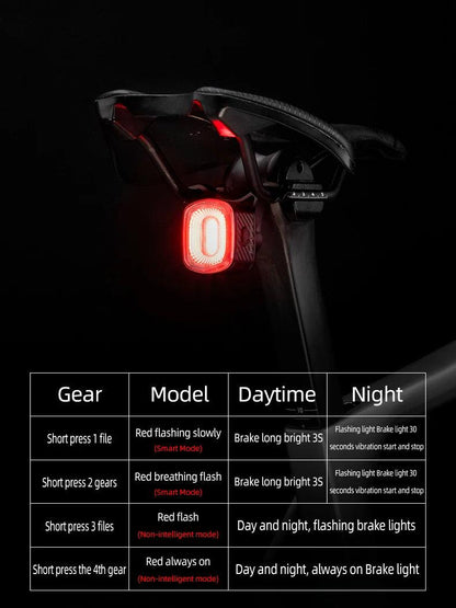 ROCKBROS Smart Bicycle Brake Light IPx6 Taillight Type-C Bike Tail Rear Light Auto Stop LED Riding Warning Safety Cycling Light