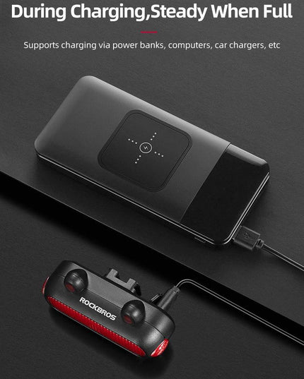 ROCKBROS Bike Rear Light IPX6 Bike Taillight LED Type-C Charging 5Modes Safety Warning Cycling Smart Taillight Rear Bicycle Lamp