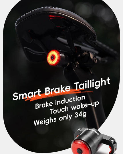 ROCKBROS Bicycle Smart Auto Brake Sensing Light IPx6 Waterproof Type-C Charging Taillight Bike Rear Light Accessories Q5 Mini