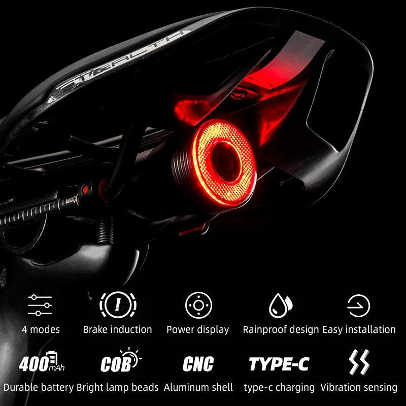 ROCKBROS Bicycle Smart Auto Brake Sensing Light IPx6 Waterproof LED Charging Cycling Taillight Bike Rear Light Accessories Q5