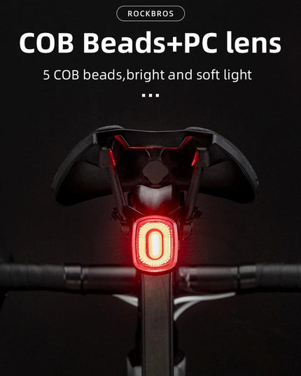ROCKBROS Bicycle Rear Light Smart Auto Brake Sensing USB Bike Light IPX6 LED Taillight MTB Road Rechargeable Cycling Accessories