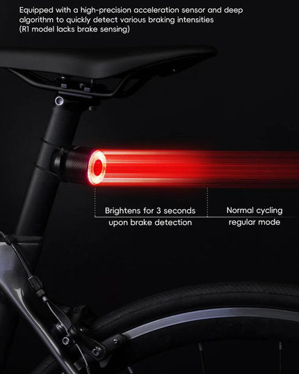 ROCKBROS BicycleTaillight Smart Brake Sensing Day/Night Sensing Waterproof Type-C Cycling Taillight Bike Accessories R Series