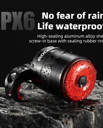 ROCKBROS Bicycle Smart Auto Brake Sensing Light IPx6 Waterproof Type-C Charging Taillight Bike Rear Light Accessories Q5 Mini