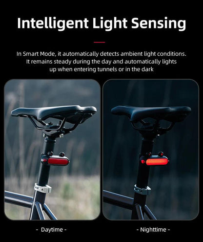 ROCKBROS Bike Rear Light IPX6 Bike Taillight LED Type-C Charging 5Modes Safety Warning Cycling Smart Taillight Rear Bicycle Lamp