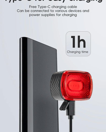 ROCKBROS Bicycle Tail Light Same Frequency Induction Brake Taillight IPX6 Waterproof Light Type-C Night Riding Warning Light