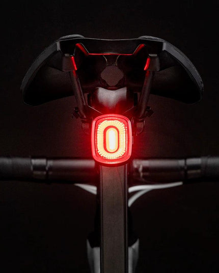 ROCKBROS Smart Bicycle Brake Light IPx6 Taillight Type-C Bike Tail Rear Light Auto Stop LED Riding Warning Safety Cycling Light