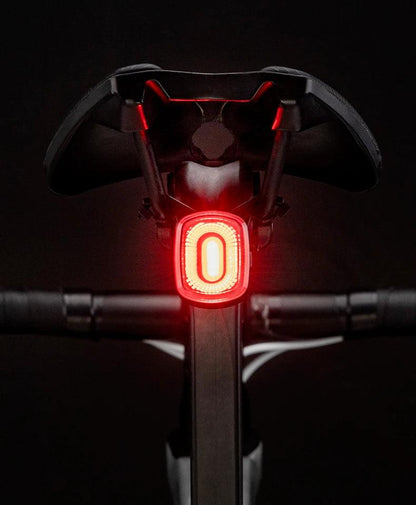 ROCKBROS Smart Bicycle Brake Light IPx6 Taillight Type-C Bike Tail Rear Light Auto Stop LED Riding Warning Safety Cycling Light