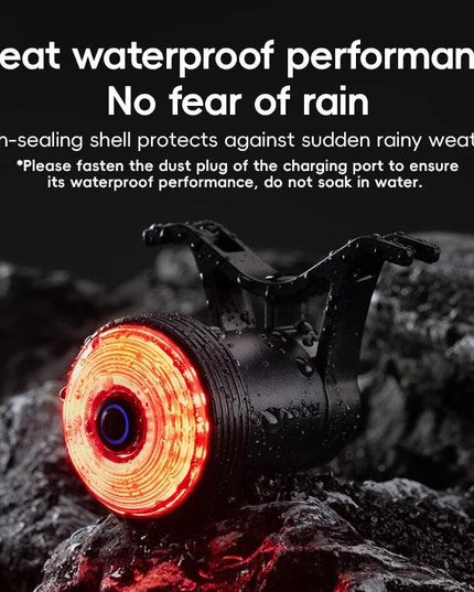 ROCKBROS Bicycle Taillight Smart Auto Brake Sensing MTB Road Bike Light New Type-C Charging Seatposts Saddle Bike Rear Light LED