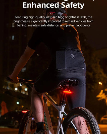 ROCKBROS Bike Rear Light IPX6 Bike Taillight LED Type-C Charging 5Modes Safety Warning Cycling Smart Taillight Rear Bicycle Lamp