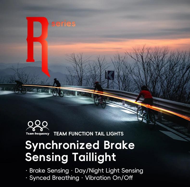 ROCKBROS BicycleTaillight Smart Brake Sensing Day/Night Sensing Waterproof Type-C Cycling Taillight Bike Accessories R Series