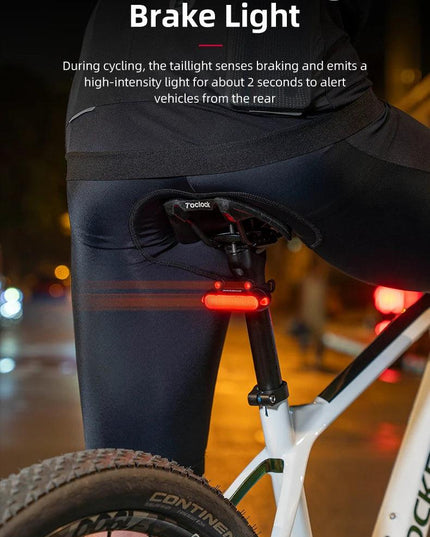 ROCKBROS Bike Rear Light IPX6 Bike Taillight LED Type-C Charging 5Modes Safety Warning Cycling Smart Taillight Rear Bicycle Lamp
