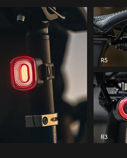 ROCKBROS BicycleTaillight Smart Brake Sensing Day/Night Sensing Waterproof Type-C Cycling Taillight Bike Accessories R Series