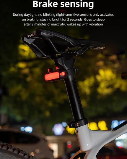 ROCKBROS Bike Rear Light IPX6 Bike Taillight LED Type-C Charging 5Modes Safety Warning Cycling Smart Taillight Rear Bicycle Lamp