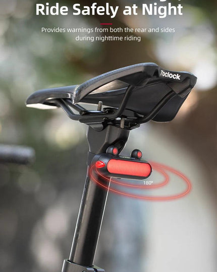ROCKBROS Bike Rear Light IPX6 Bike Taillight LED Type-C Charging 5Modes Safety Warning Cycling Smart Taillight Rear Bicycle Lamp