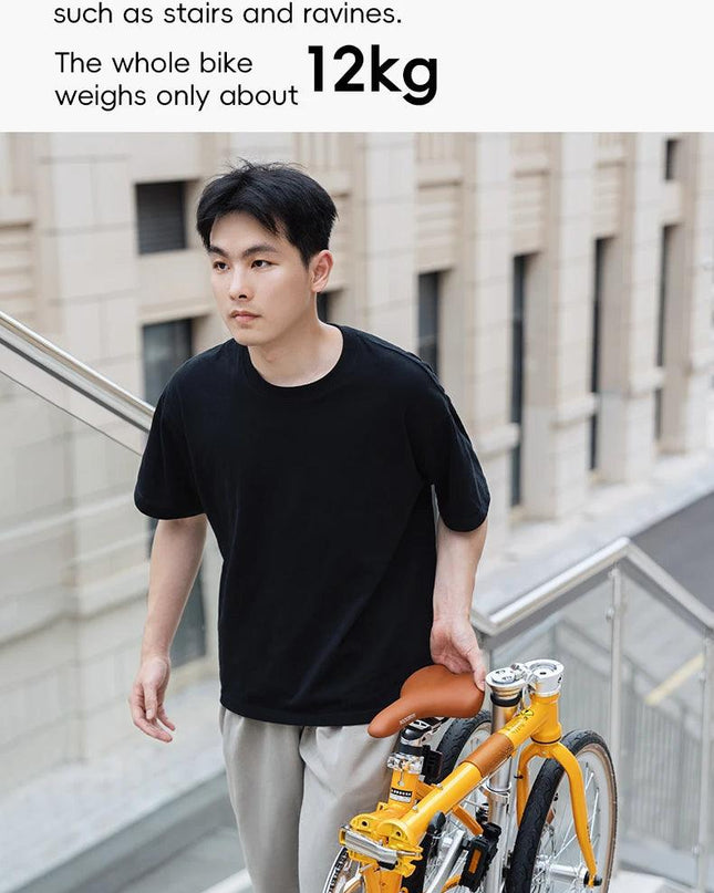 ROCKBROS Lightweight Bike Folding Design 20 inch Bike With Shimano 8-speed Wire-drawn Disc Brake System Adult Folding Bike