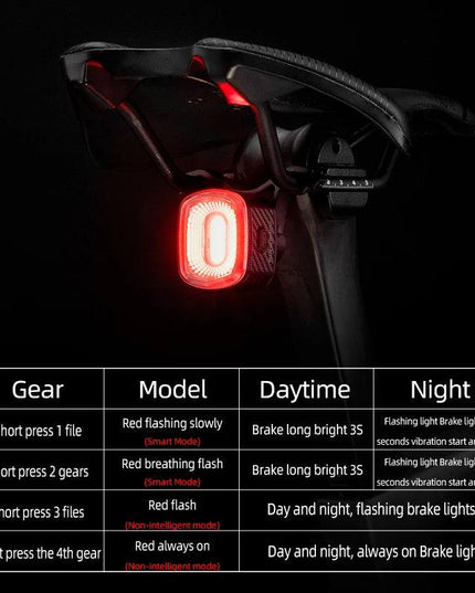 ROCKBROS Smart Bicycle Brake Light IPx6 Taillight Type-C Bike Tail Rear Light Auto Stop LED Riding Warning Safety Cycling Light